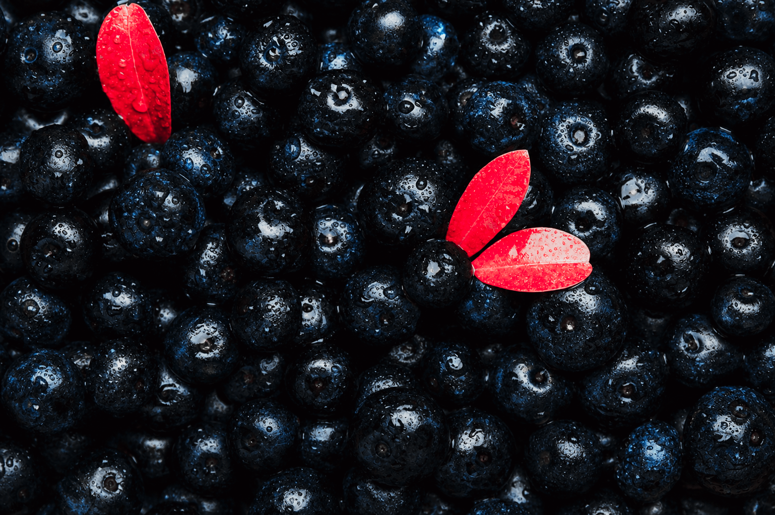 Visuel rouge acai